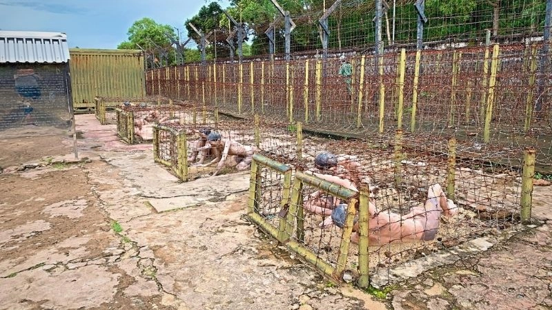 Cảnh quan Nhà tù Phú Quốc gợi nhắc quá khứ bi hùng dân tộc