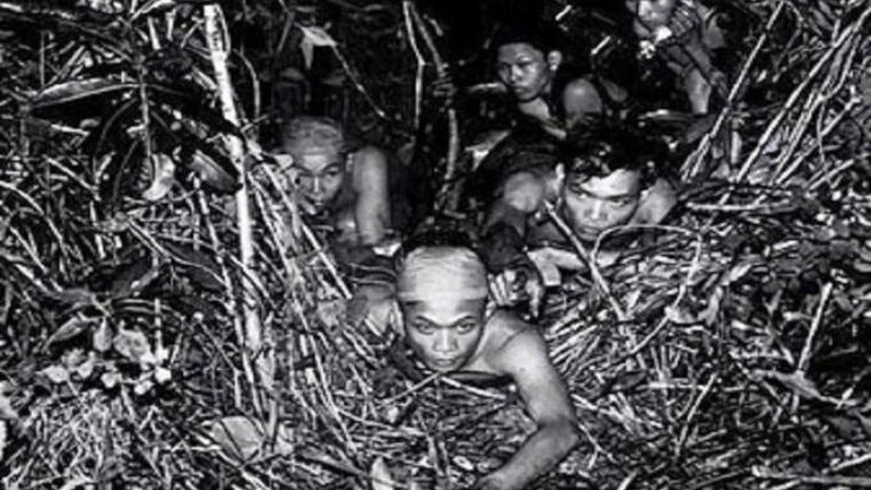 Lịch sử hình thành rừng Sác kiên cường