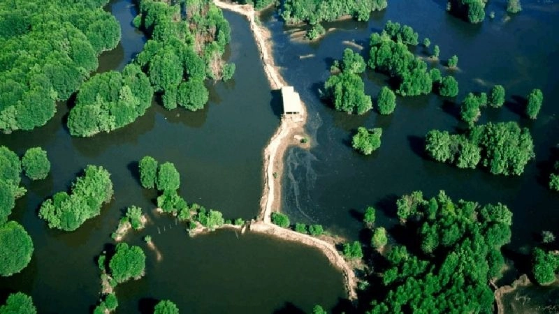 Rừng Sác Hồ Chí Minh minh chứng quá khứ hào hùng dân tộc