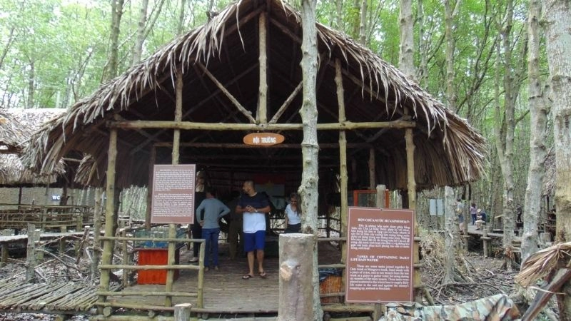 Rừng Sác bảo vệ biểu tượng sức mạnh và lòng trung kiên