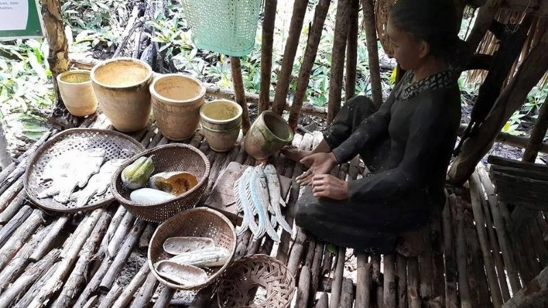 Rừng Sác ở đâu câu hỏi gợi mở hành trình khám phá