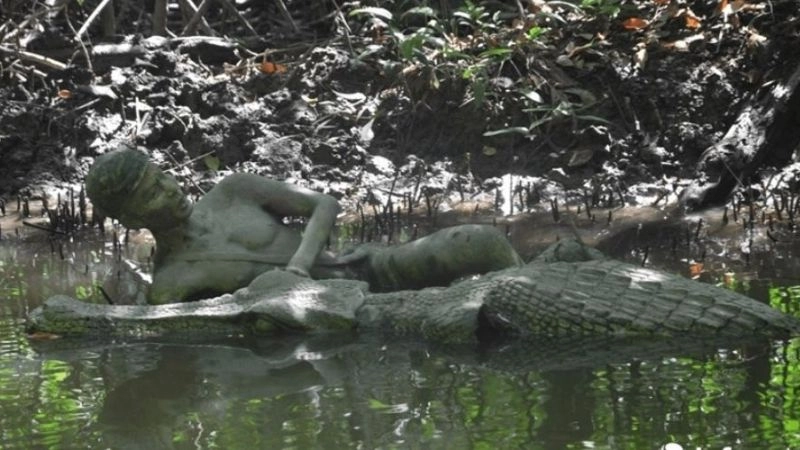 Trải nghiệm cá nhân khi thăm rừng Sác