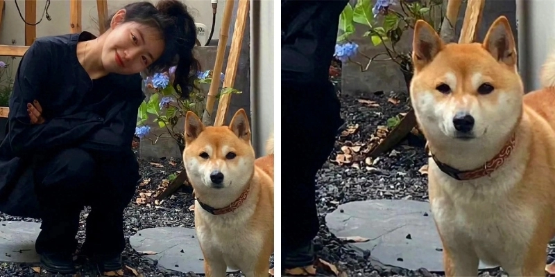 Ảnh đại diện cặp ghi lại khoảnh khắc lãng mạn khó quên