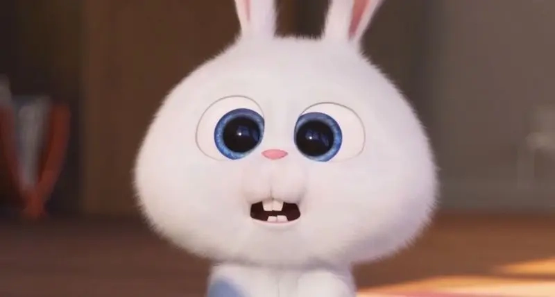 Ảnh thỏ buồn làm avatar gợi nét tâm trạng sâu lắng