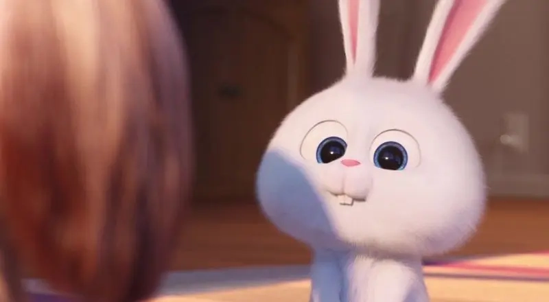 Avatar thỏ hồng ngọt ngào dễ thương đầy sức hút