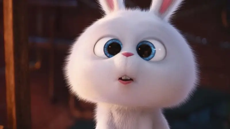 Ảnh thỏ đen làm avatar thể hiện cá tính riêng biệt