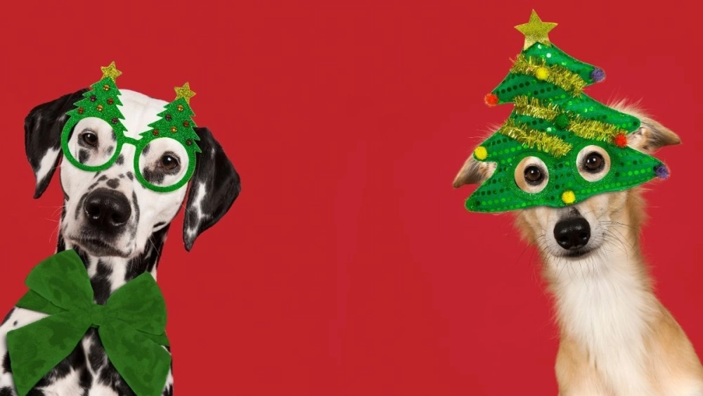 Avatar giáng sinh chibi dễ thương cực đáng yêu