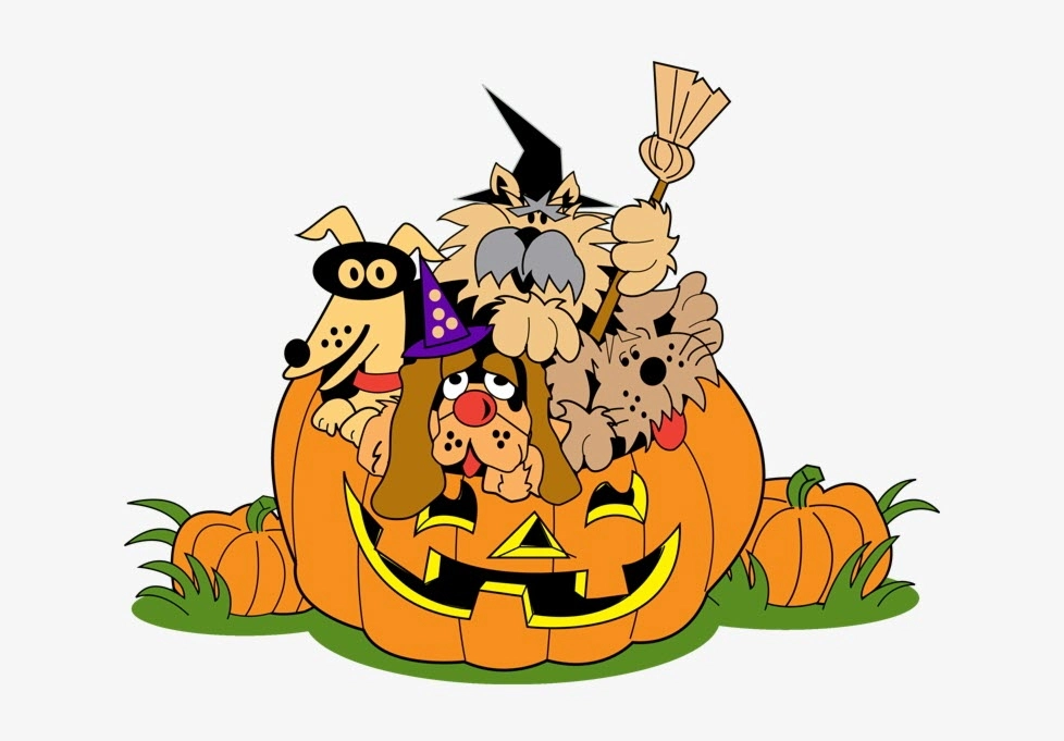 Chibi Halloween girl dễ thương ma mị cuốn hút ánh nhìn