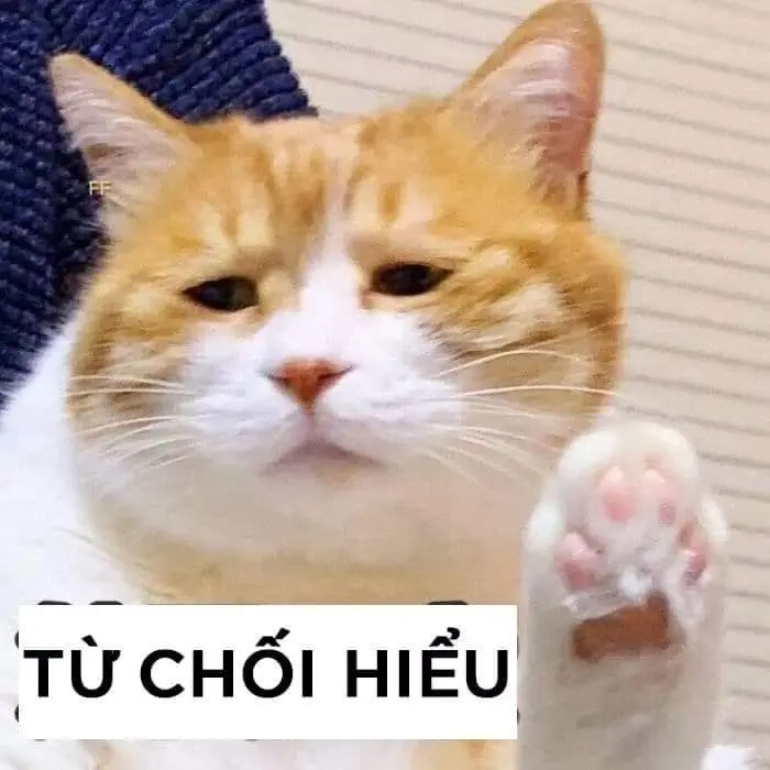 Hình ảnh meme bất lực thu hút bởi nét châm biếm tinh tế