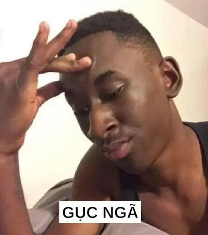 Hình bất lực meme khiến người xem vừa buồn vừa bật cười