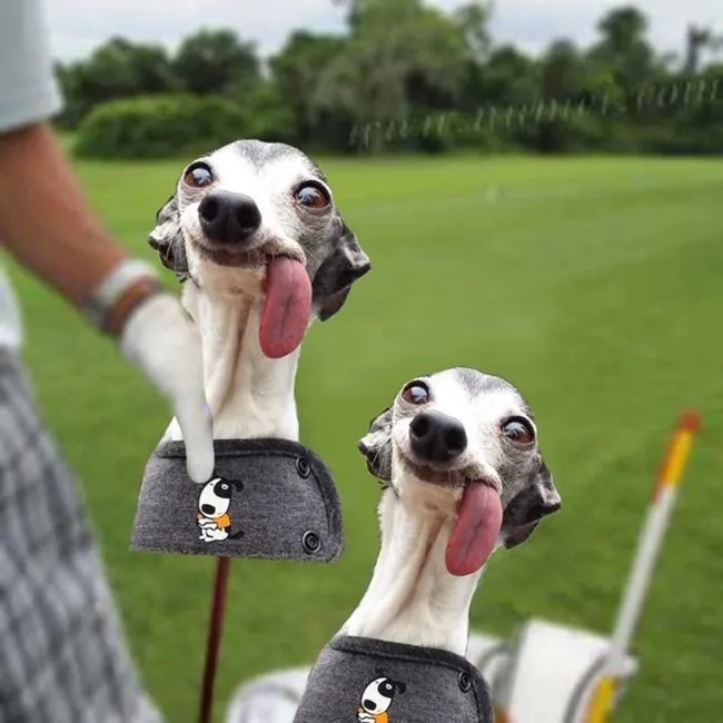 Ảnh meme bóp cổ lè lưỡi khiến người xem thích thú