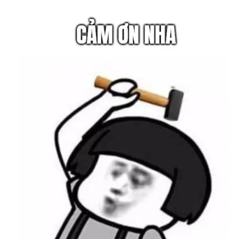 Meme cảm ơn hài hước tạo nên tiếng cười đầy sảng khoái