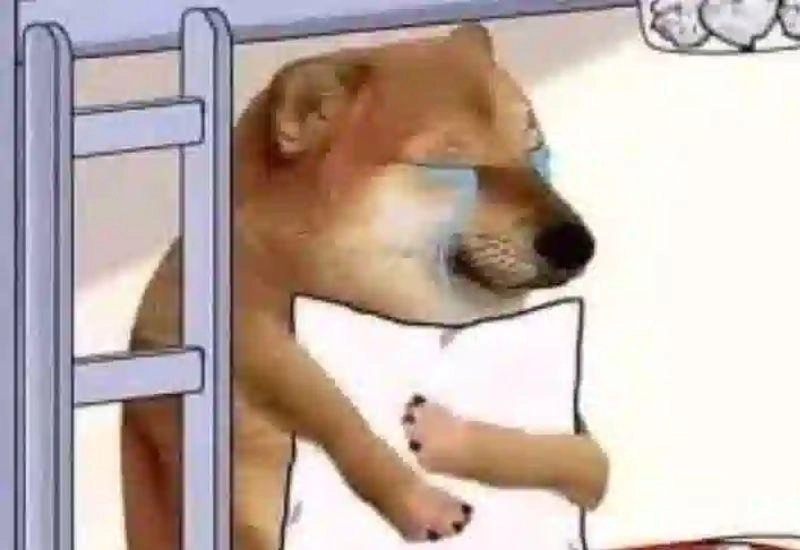 Meme dỗi hờn mang màu sắc vui nhộn khó quên