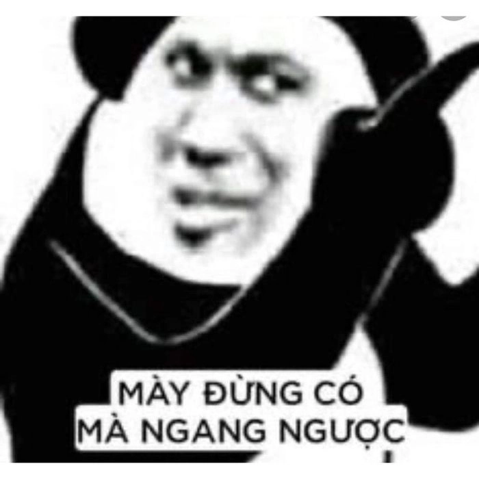 Ảnh meme gấu được chia sẻ rộng rãi trên mạng