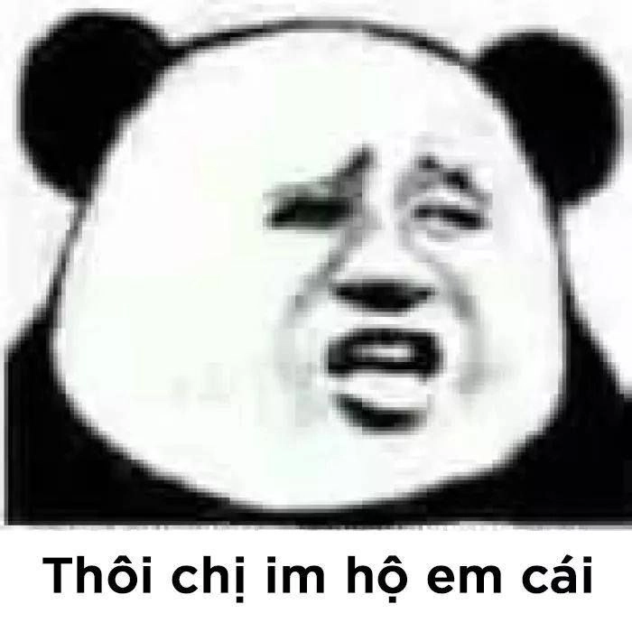 Meme con gấu hét mang lại cảm giác phấn khích