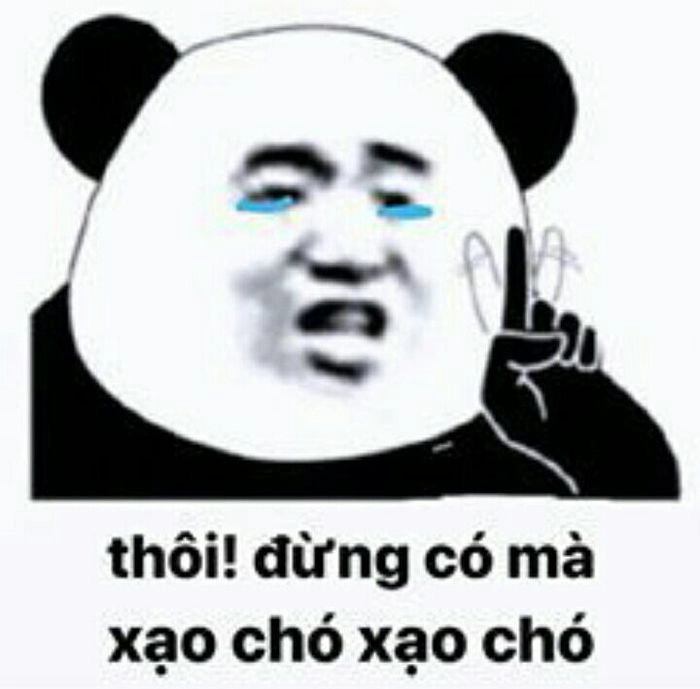Oc gấu meme gây tò mò cho cộng đồng mạng