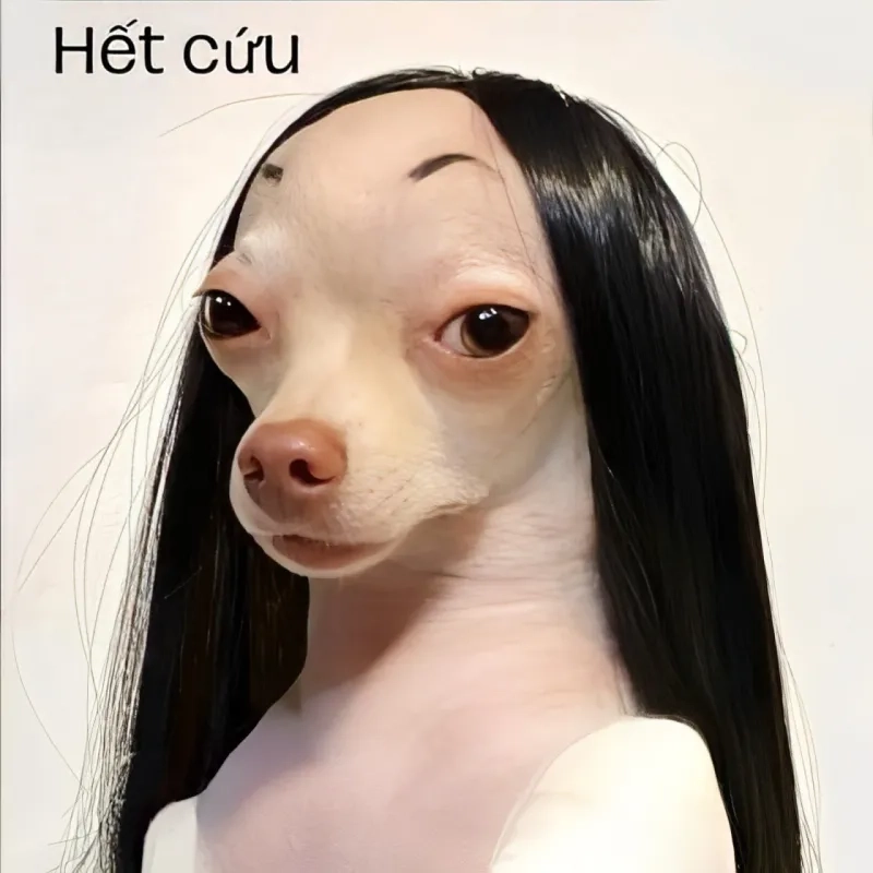 Hết cách rồi meme tạo tiếng cười từ sự bất lực