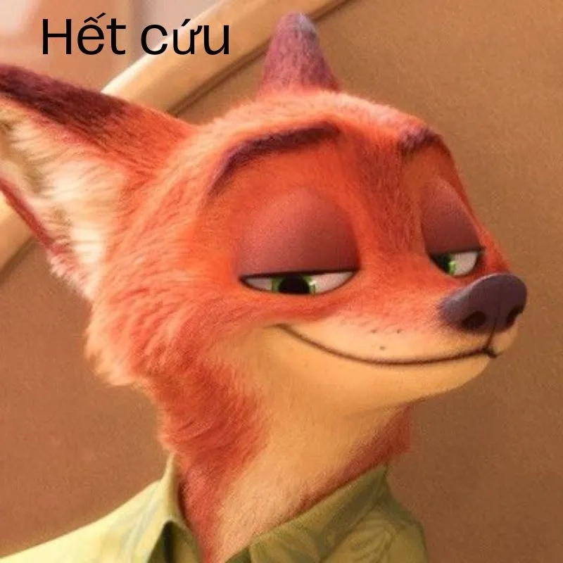 Meme hết cứu nổi thu hút nhờ biểu cảm hài hước