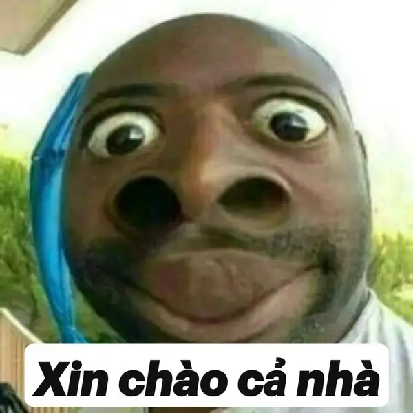 Chào meme khiến ai xem cũng bật cười thích thú