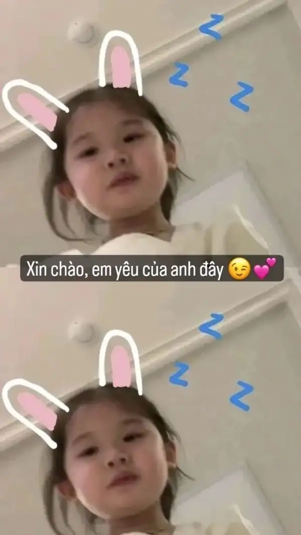 Meme xin chào cute mang lại cảm giác vui vẻ