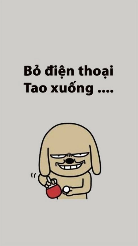 Cute chất hình nền bỏ điện thoại tao xuống nổi bật