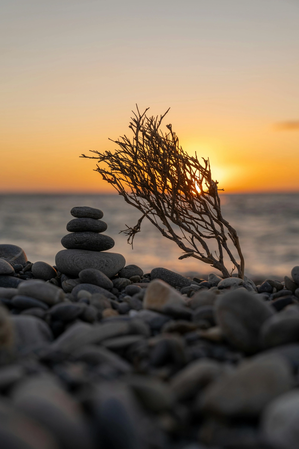 Hình nền phong cảnh bình minh nên thơ huyền diệu