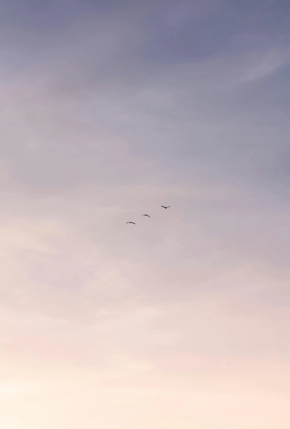 Hình nền hoàng hôn 3d sống động cực cuốn hút