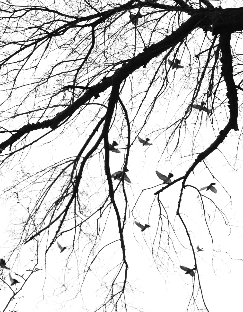 Vintage retro background mang lại cảm giác ấm áp