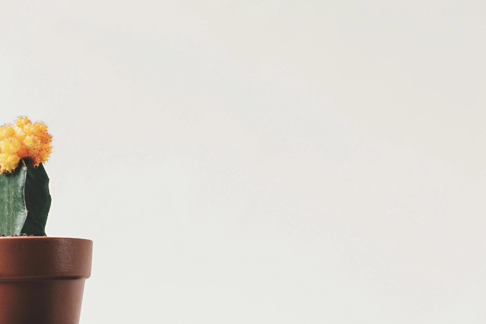 Hình nền tối giản cho PC sang trọng chuyên nghiệp