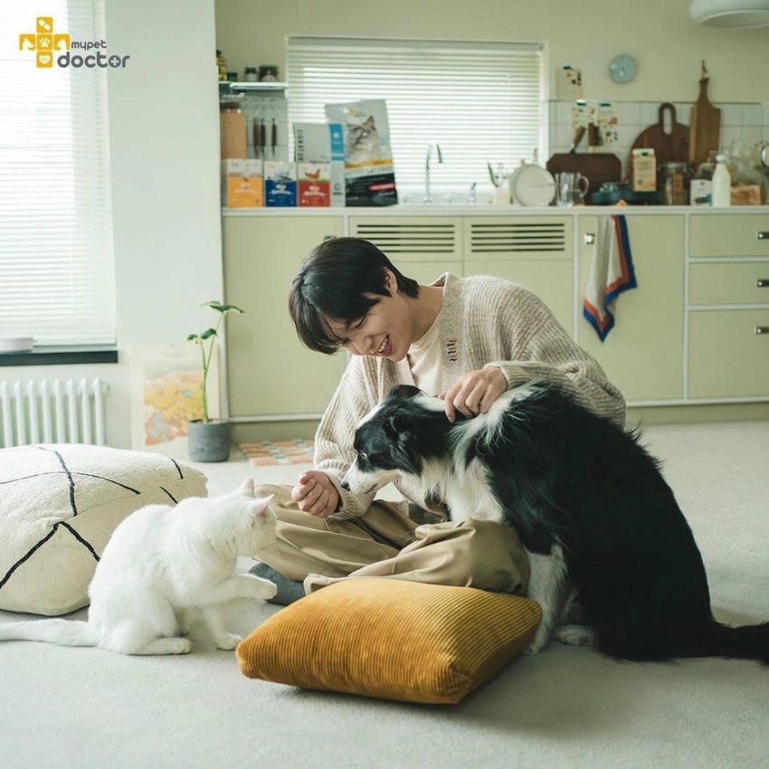 Actor Lee Min Ho gây tiếng vang quốc tế