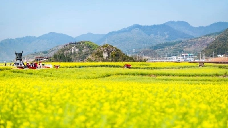 Nhiệt độ lý tưởng thường xuất hiện khi trời ấm áp