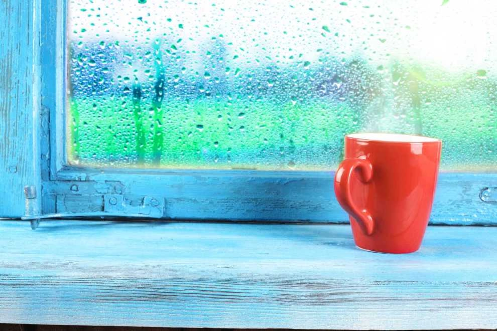 Không khí bão hòa hơi nước chính là đặc trưng của môi trường ẩm ướt