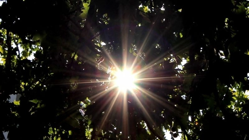 Mặt trời phát ra ánh sáng mặt trời duy trì sự sống