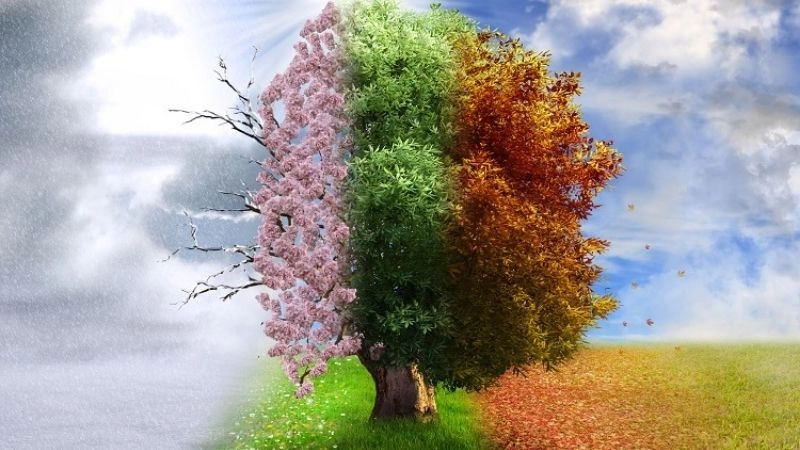 Thời tiết thay đổi được nhận biết sớm nhờ chỉ số từ áp kế