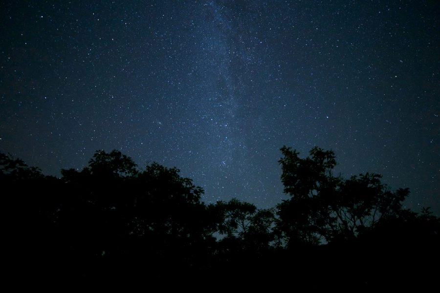 Lớp sương hình thành do không khí nguội lạnh nhanh vào ban đêm