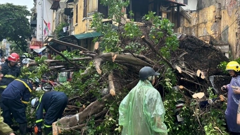 Sức tàn phá của bão mạnh gây thiệt hại diện rộng