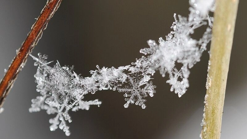 Bông tuyết là tinh thể băng rơi từ bầu trời mùa đông