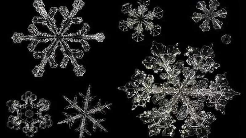 Hình dạng đa dạng của bông tuyết phụ thuộc điều kiện