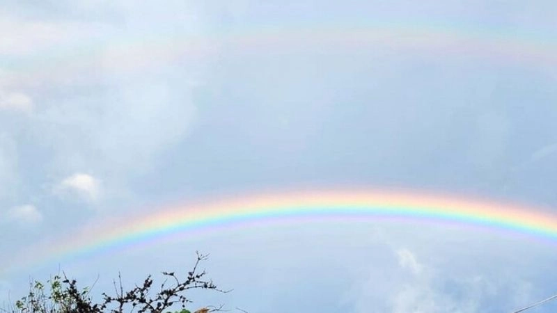 Ánh sáng mặt trời chiếu qua mưa hình thành cầu vồng