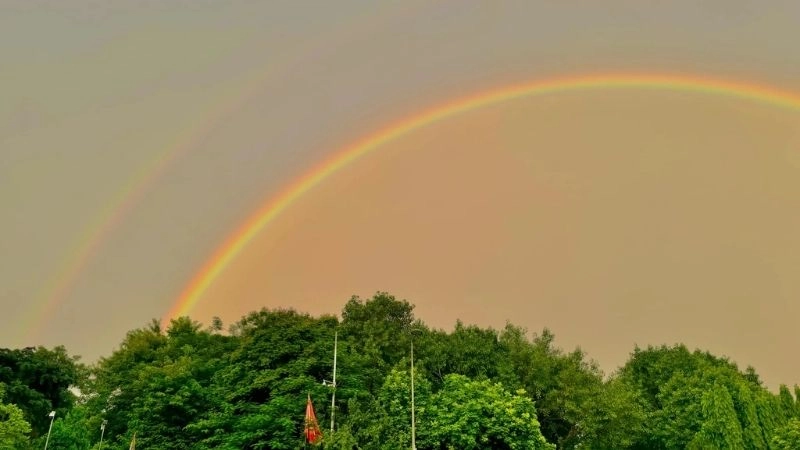 Hiện tượng quang học giải thích cách hình thành cầu vồng