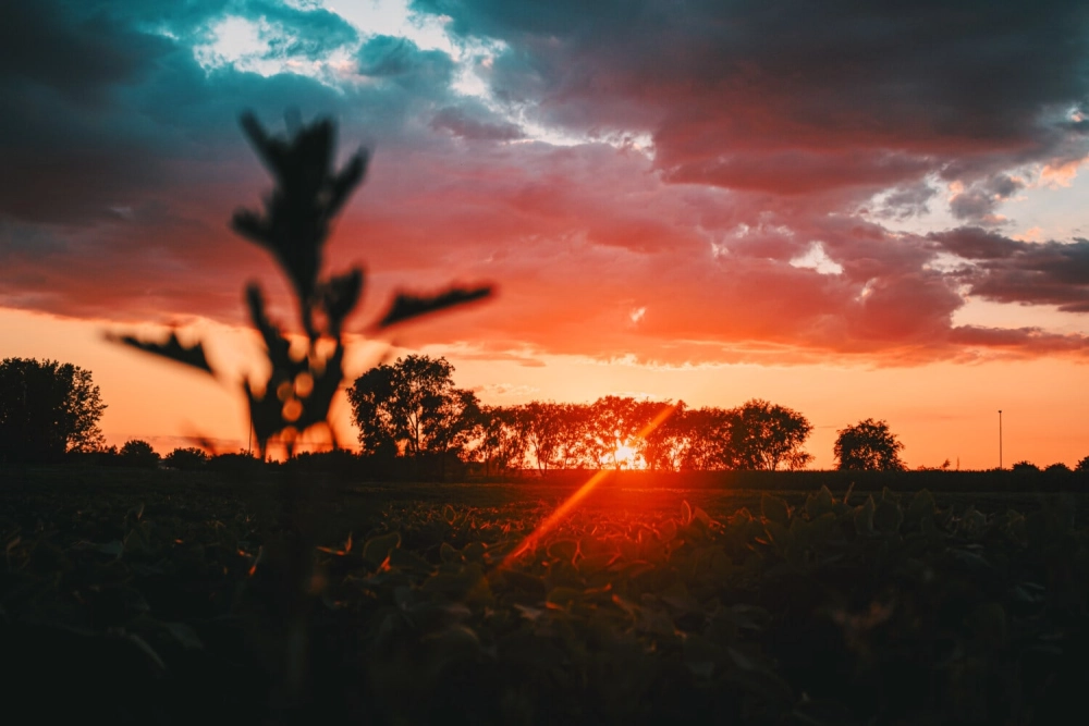 Góc mặt trời nằm dưới đường chân trời là điều kiện để có chạng vạng