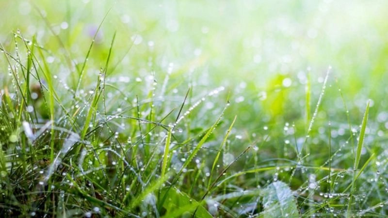 Hạt nước ngưng tụ đủ lớn mới tạo thành cơn mưa