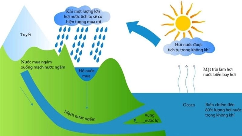 Chu trình nước liên tục tái tạo để hình thành cơn mưa