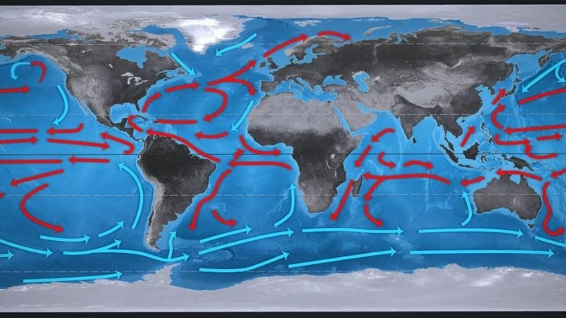 Hải lưu nóng mang theo nhiệt làm ấm khí hậu khu vực ven biển