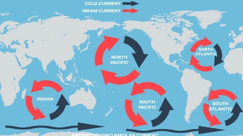 Hoàn lưu đại dương điều phối dòng hải lưu trên quy mô lớn
