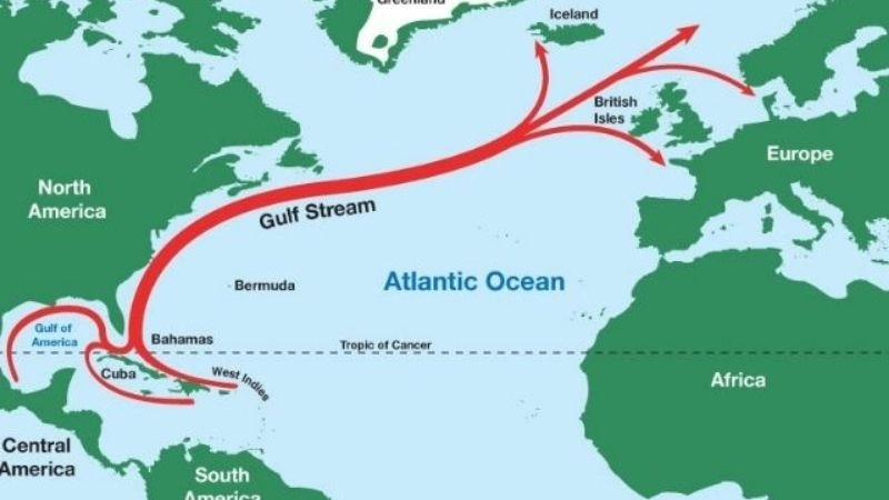 Vai trò hải lưu ảnh hưởng mạnh đến khí hậu và ngư trường