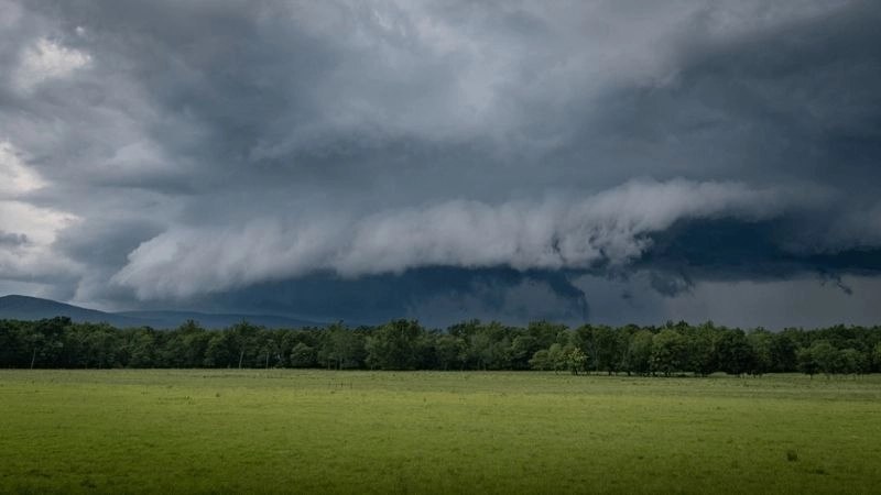 Dông là hiện tượng nhiễu loạn khí quyển kèm sét và mưa