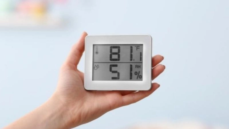 Độ ẩm là yếu tố then chốt trong báo cáo dự báo thời tiết chi tiết