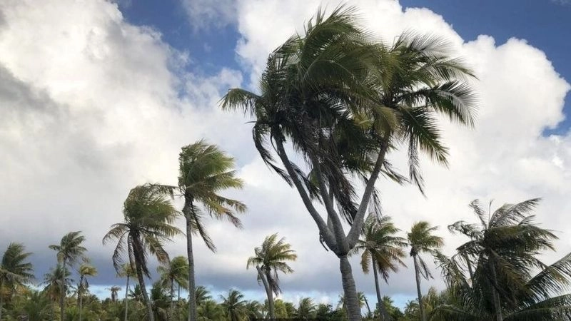 Hiện tượng gió là thuật ngữ tổng quát mô tả sự vận động của không khí