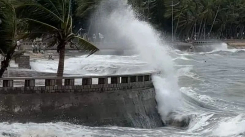 Tốc độ gió tăng đột biến tạo nên hiện tượng gió giật